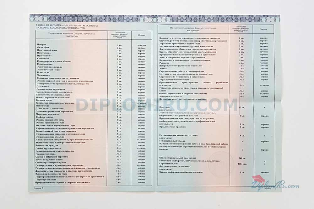 Заполненное приложение к диплому о высшем образовании 2014-2025 года 2 и 3 страницы